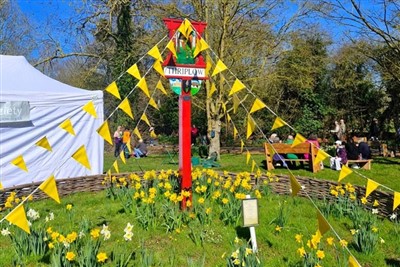 Thriplow Daffodil Festival and Country Fayre